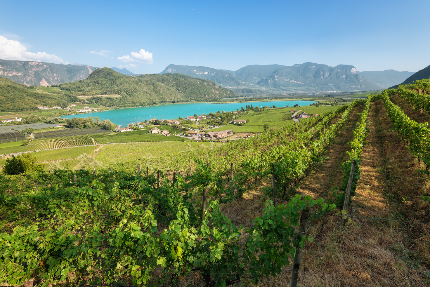 Kaltern lake between mountains and vineyard in South Tyrol, Italy